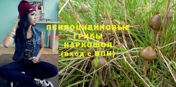 гидра Алексин